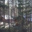 база отдыха лодейное поле свирская слобода. Смотреть фото база отдыха лодейное поле свирская слобода. Смотреть картинку база отдыха лодейное поле свирская слобода. Картинка про база отдыха лодейное поле свирская слобода. Фото база отдыха лодейное поле свирская слобода