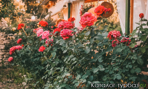 База отдыха «Ковбой»