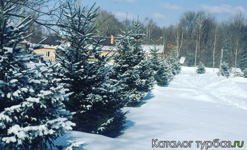 База отдыха «Пасека»