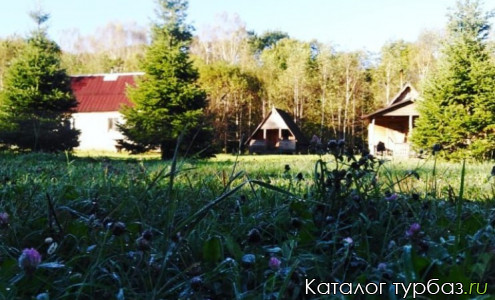 База отдыха «Пасека»