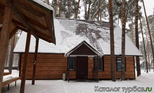 База отдыха «Уютный лес»