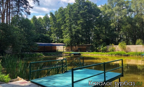 База отдыха «Уютный лес»