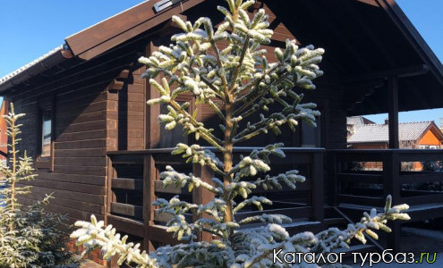 База отдыха «Медведь»