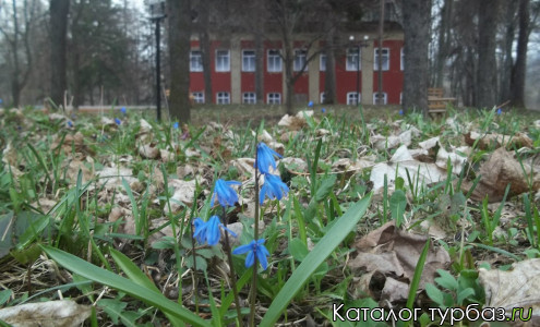 База отдыха «Усадьба Ведрова»