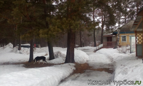 Турбаза «Кашламский бор»