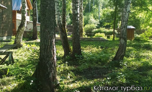 Усадьба «Добрыня»