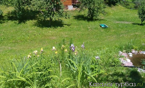 Усадьба «Фруктовый сад»