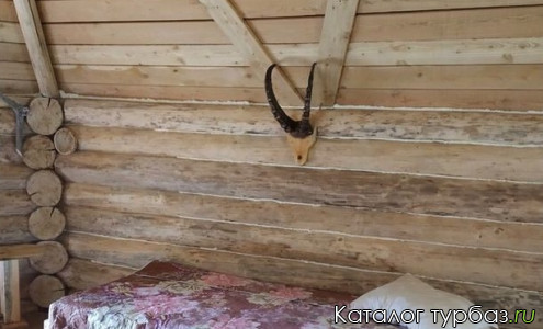 База отдыха «Южный берег»