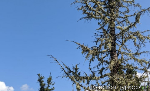 База отдыха «Тушканчик кэмп»