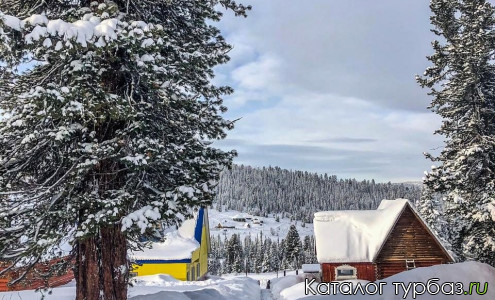 База отдыха «Тушканчик кэмп»