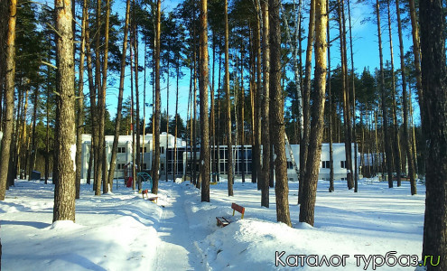 База отдыха «Зеленый бор»