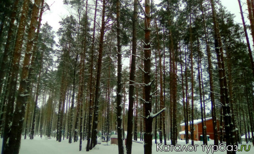 База отдыха «Зеленый бор»