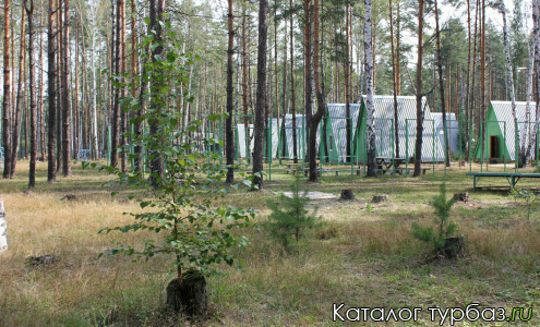 База отдыха «Зеленый бор»