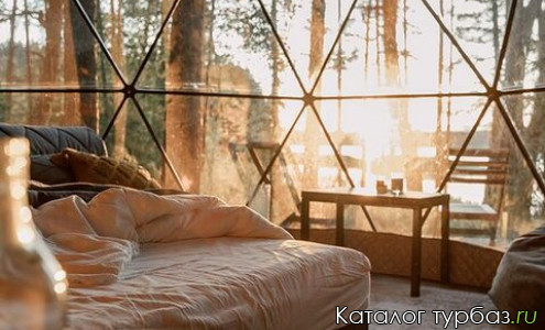 Кемпинг «Вили Улей»