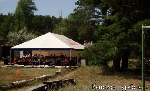 Лесная забава