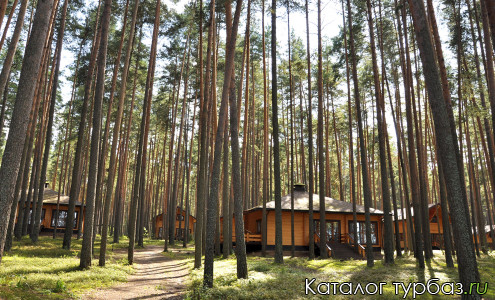 База отдыха «Калязин бор»