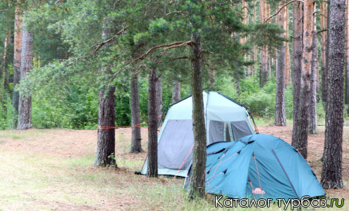 База отдыха «Калязин бор»