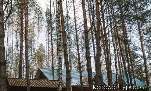 база отдыха крутой яр спас клепики. Смотреть фото база отдыха крутой яр спас клепики. Смотреть картинку база отдыха крутой яр спас клепики. Картинка про база отдыха крутой яр спас клепики. Фото база отдыха крутой яр спас клепики