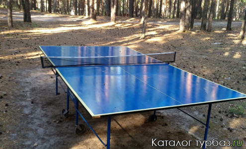 База отдыха «Новый свет»