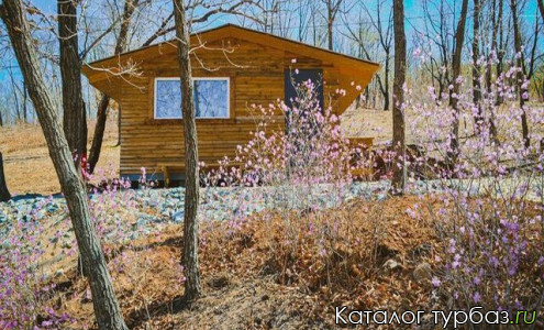 База отдыха «Лес»