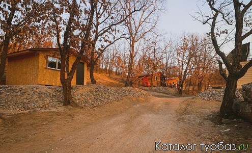 База отдыха «Лес»