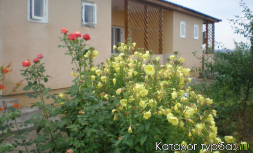 База отдыха «Омега»