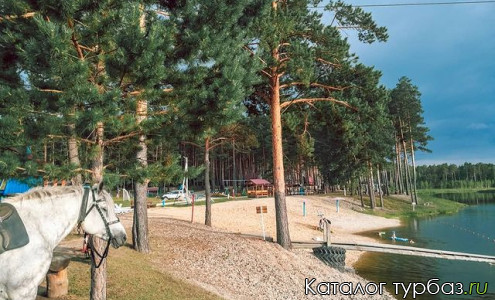 База отдыха «Михайловские озера»