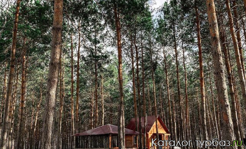 База отдыха «Михайловские озера»