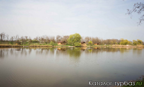 База отдыха «Камыши»