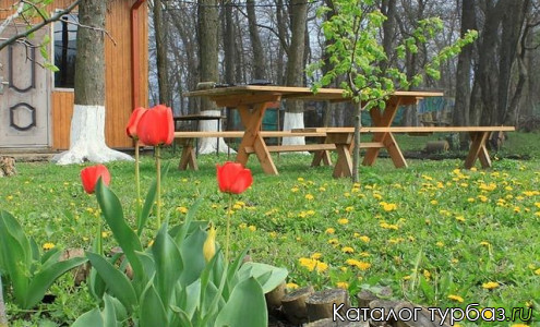 База отдыха «Раздолье»