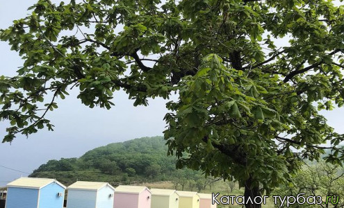 База отдыха «Рождественская»