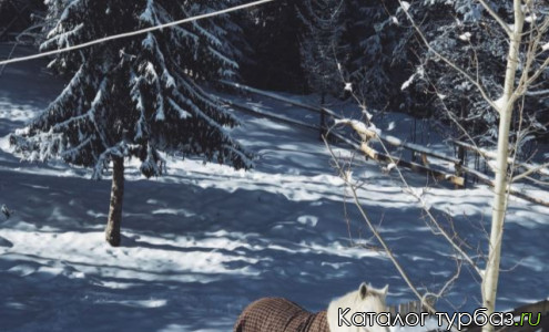 База отдыха «Husky Moa»