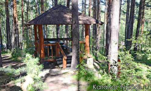 База отдыха «Дивный бор»