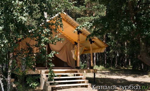 Турбаза «Море леса»