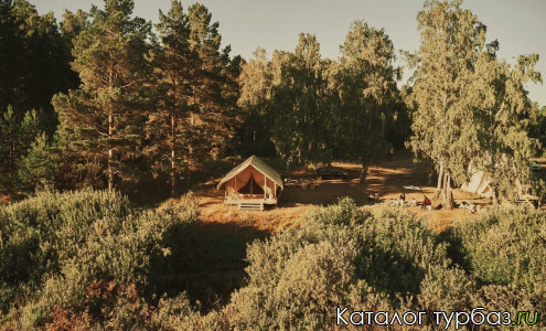 Турбаза «Море леса»