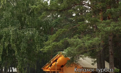 Турбаза «Море леса»