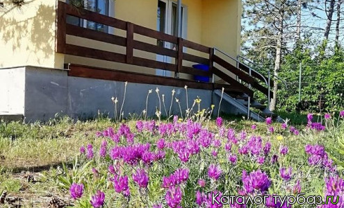 База отдыха «Бриз»