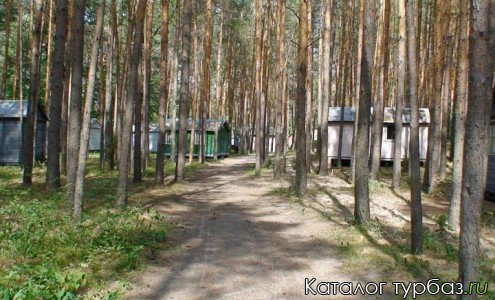 База отдыха «Шелангуш»