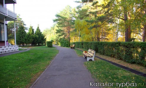 Русский лес