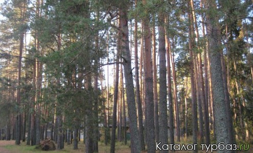 Турбаза Вишкиль