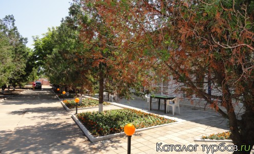 главная аллея