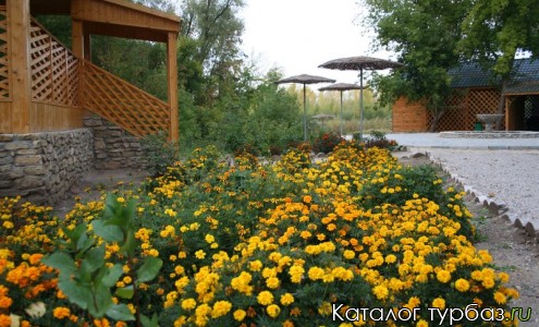 База отдыха «Чёрный Яр»