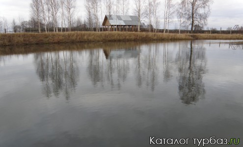 пруд с карасем и щукой