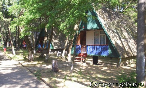 donskaya volna6 донская волна база номер телефона