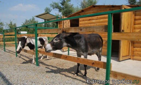 База отдыха «Лазурит»