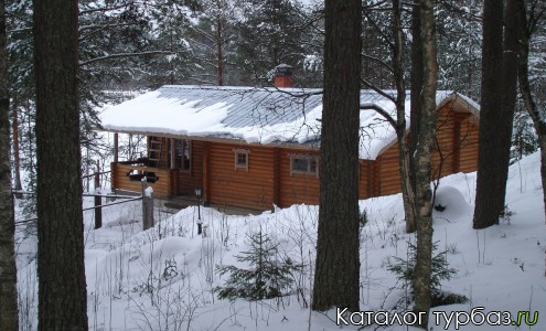 База отдыха «Лесной двор»