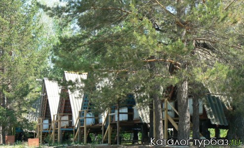 Турбаза Чайка