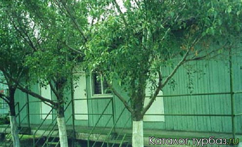 База отдыха «Лагуна»