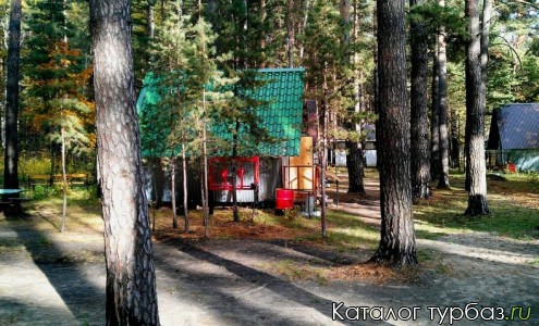 Турбаза Медведь
