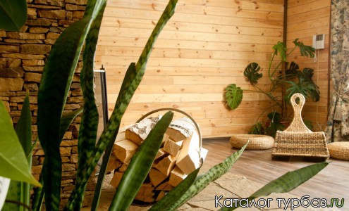 База отдыха «Лукоморье»